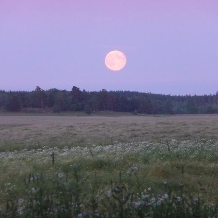 Skogis Bed & Breakfast Katrineholm Exteriör bild